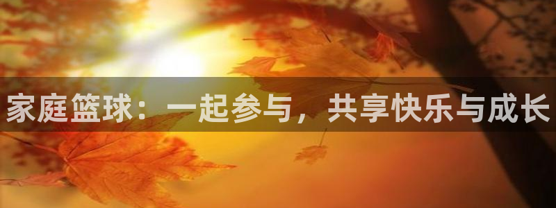 一竞技官方正版app娱乐代理怎么样：家庭篮球：一起参