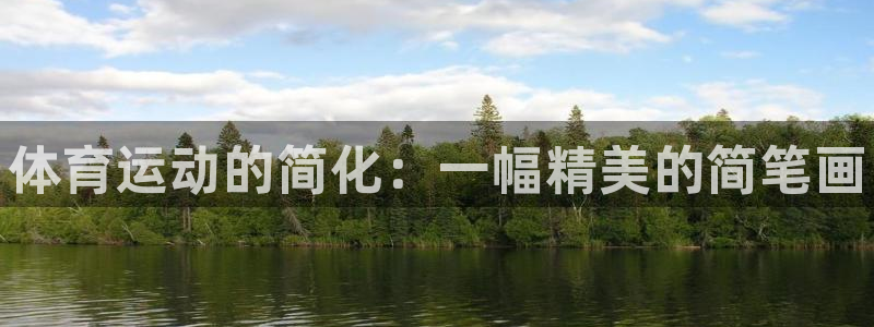 一竞技官方正版app代理：体育运动的简化：一幅精美的