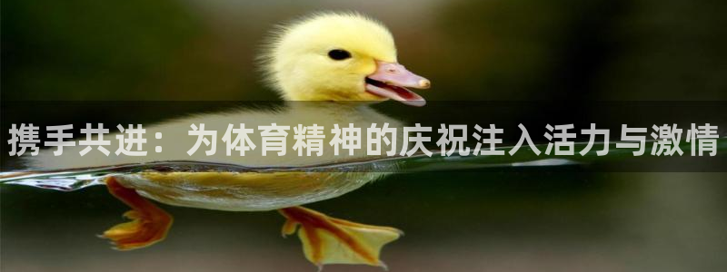 一竞技官方正版app娱乐40996：携手共进：为体育精神的庆