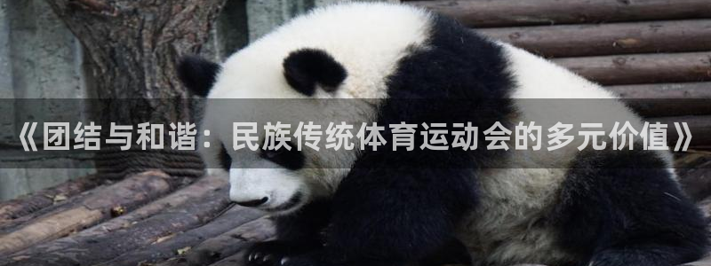 一竞技官方正版app娱乐网站：《团结与和谐：民族传统体育运动