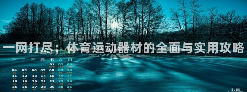 一竞技官方正版app集团：一网打尽：体育运动器材的全面与实用