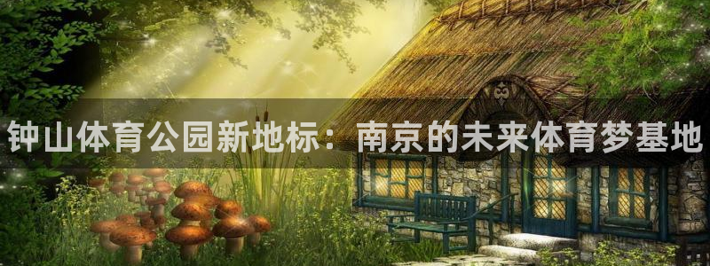 一竞技官方正版app代理：钟山体育公园新地标：南京的未来体育