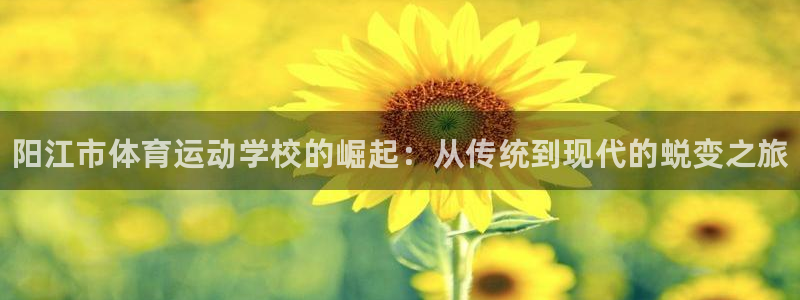 一竞技官方正版app科技：阳江市体育运动学校的崛起：