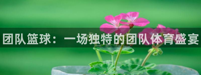 一竞技官方正版app娱乐下载：团队篮球：一场独特的团