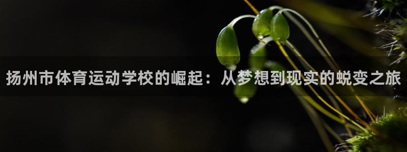 一竞技官网下载：扬州市体育运动学校的崛起：从梦想到现实的蜕变