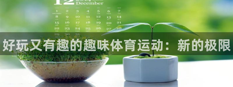 一竞技官方正版app科技：好玩又有趣的趣味体育运动：新的极限