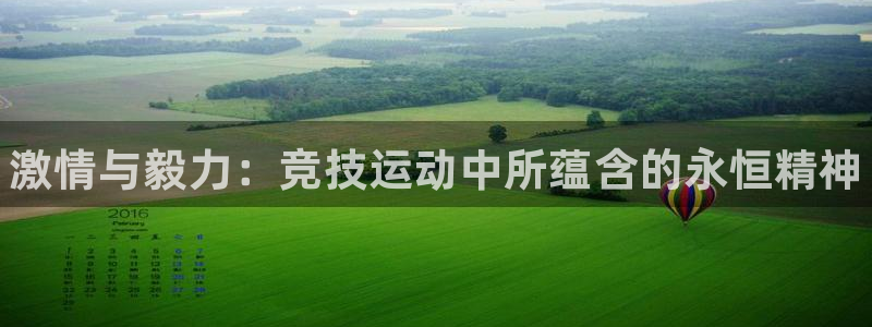 一竞技官网下载平台注册流程视频：激情与毅力：竞技运动中所蕴含