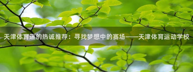 一竞技官网下载招商电话地址是多少：天津体育迷的热诚推荐：寻找