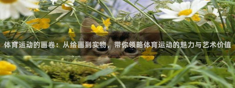 海南一竞技官网下载发展怎么样：体育运动的画卷：从绘画到实物，