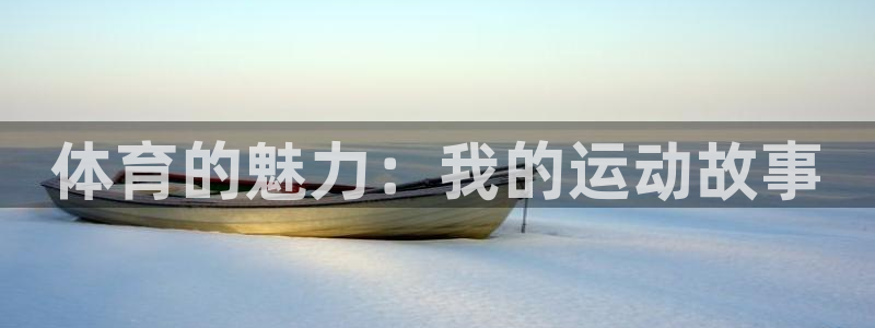 一竞技官方正版app集团：体育的魅力：我的运动故事