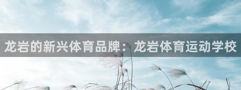一竞技官方正版app集团官网首页：龙岩的新兴体育品牌：龙岩体