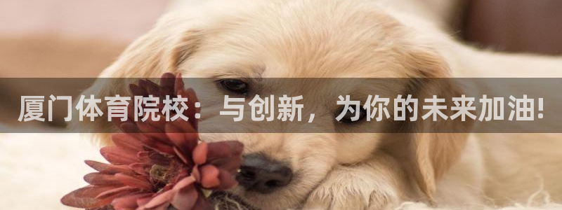 一竞技官方正版app娱乐网站：厦门体育院校：与创新，为你的未