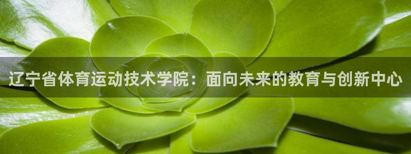 一竞技官网下载招商电话是多少号码：辽宁省体育运动技术学院：面