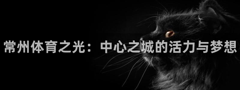 一竞技官方正版app娱乐网站：常州体育之光：中心之城的活力与