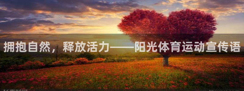 一竞技官网下载招商电话号码：拥抱自然，释放活力——阳光体育运
