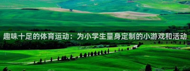 一竞技官方正版app娱乐首页网站大全：趣味十足的体育