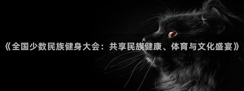 一竞技官网下载平台是正规平台吗：《全国少数民族健身大