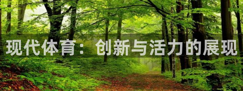一竞技官方正版app代理：现代体育：创新与活力的展现