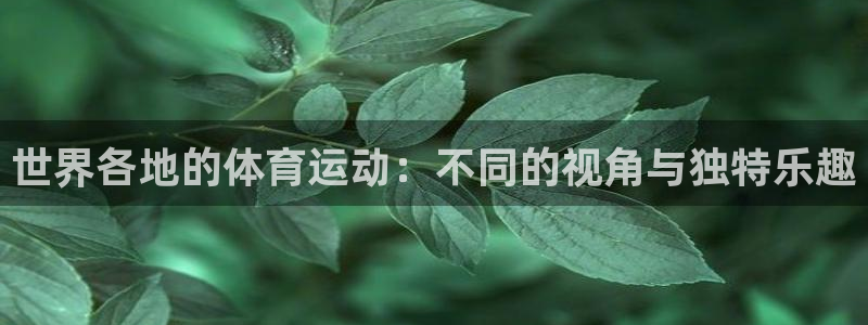 一竞技官网下载平台注册要钱吗安全吗：世界各地的体育运动：不同