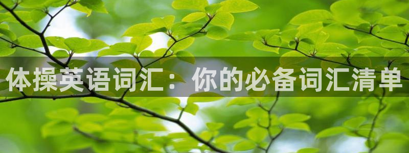 一竞技官网下载招商电话地址是多少：体操英语词汇：你的必备词汇