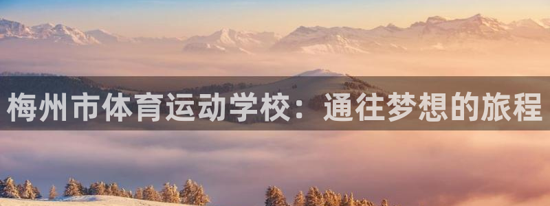 一竞技官方正版app开户