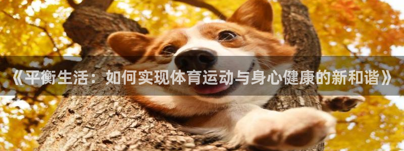 一竞技官方正版app娱乐首页网站大全：《平衡生活：如何实现体