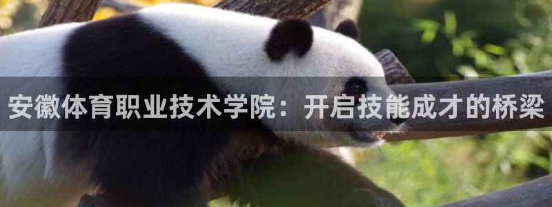 一竞技官网下载招商电话是多少：安徽体育职业技术学院：开启技能