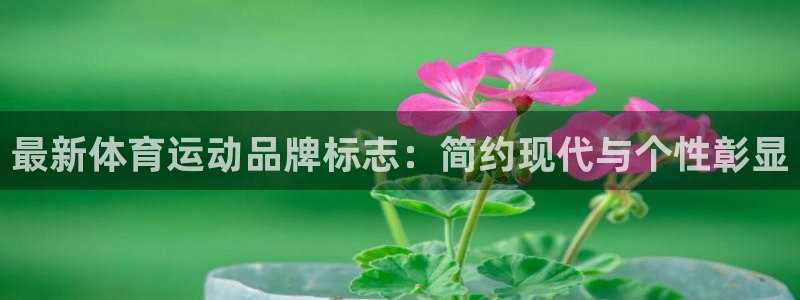 海南一竞技官网下载：最新体育运动品牌标志：简约现代与个性彰显