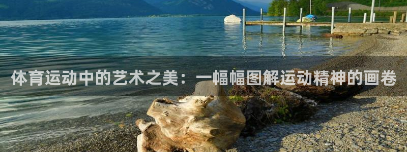 一竞技官方正版app开户：体育运动中的艺术之美：一幅幅图解运